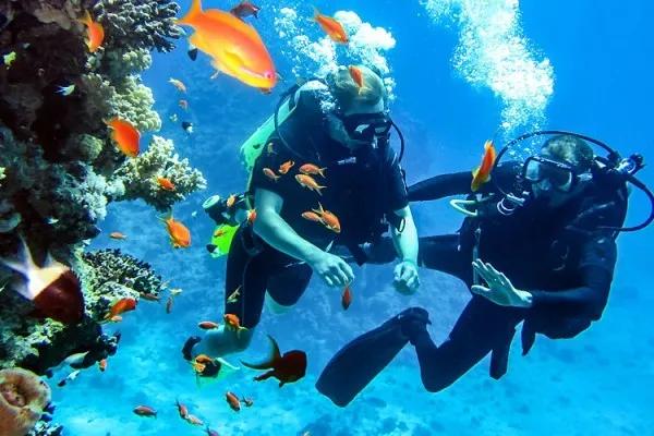 Scuba Diving From Shore At North Bay Island (sri Vijaya Puram)