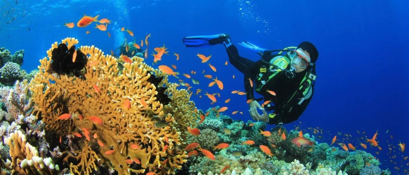 Scuba Diving From Boat At Neil Island (Shaheed Dweep) - Image 2