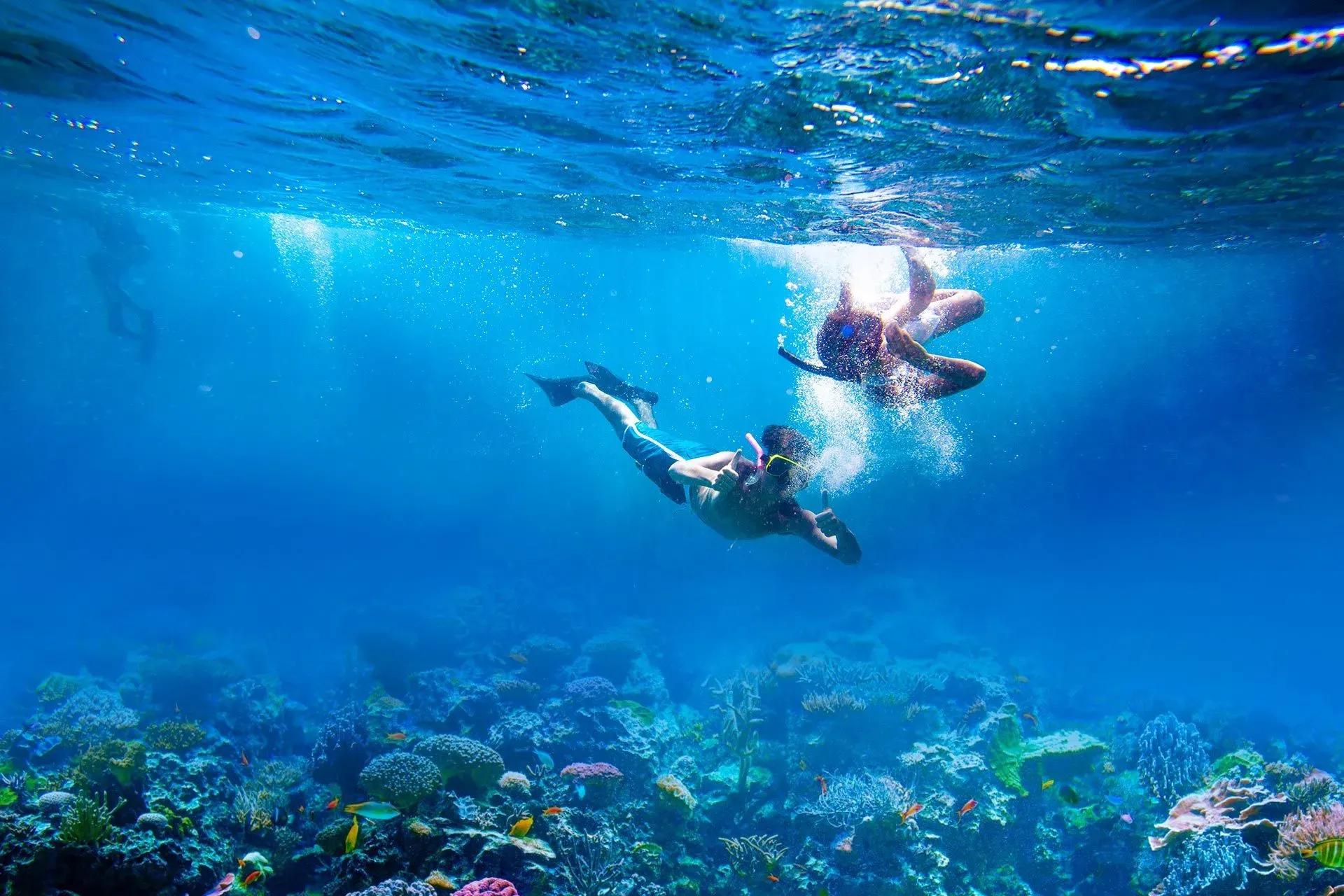 Deep Sea Snorkelling  At Havelock Island (swaraj Dweep)