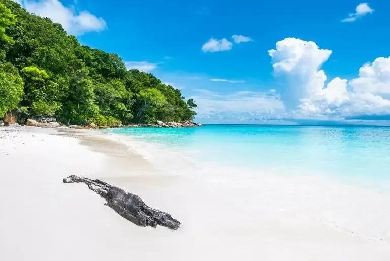 Long Island Private Charter Boat Trip – From Havelock image 3