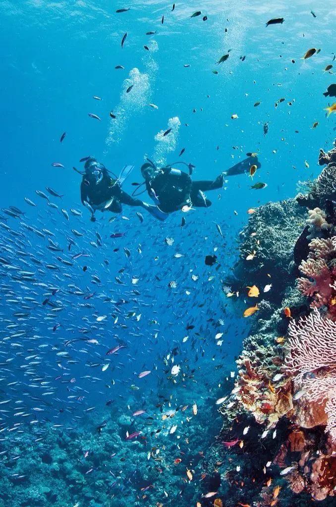 Scuba Diving From Boat At Havelock (Swaraj Dweep)