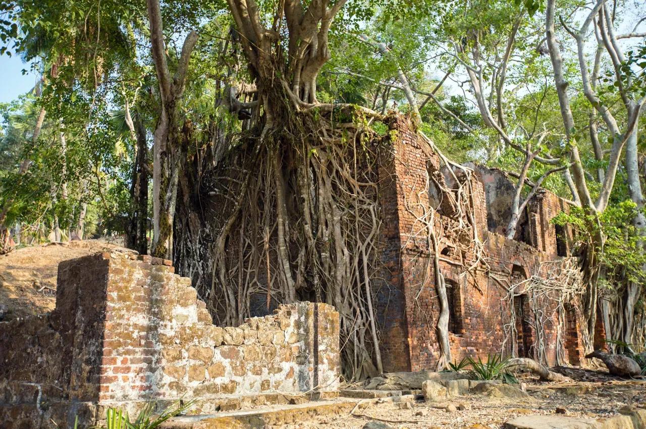 Junglighat (Sri Vijaya Puram)