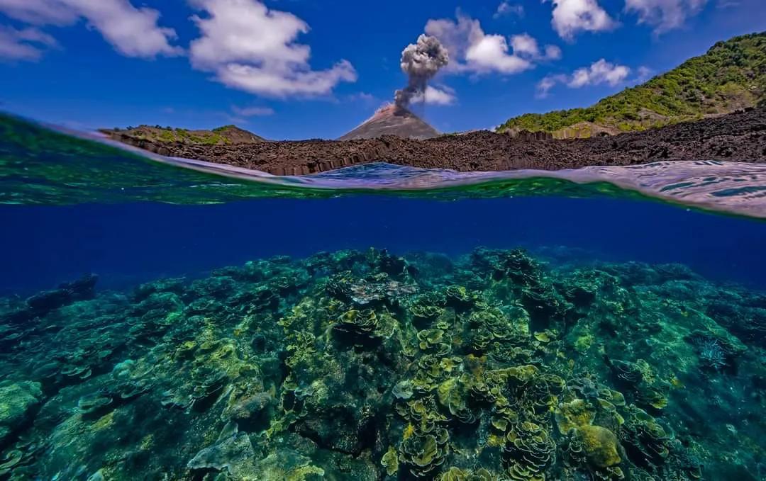Barren Island Charter