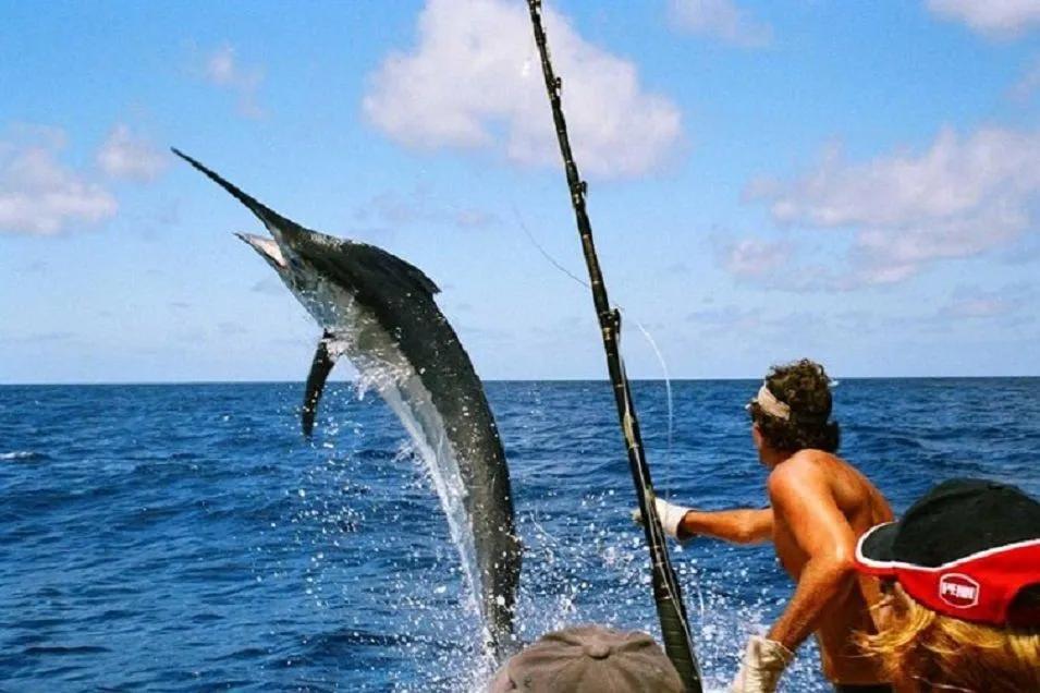 Full Day Game Fishing At Havelock Island (Swaraj Dweep) - Image 4