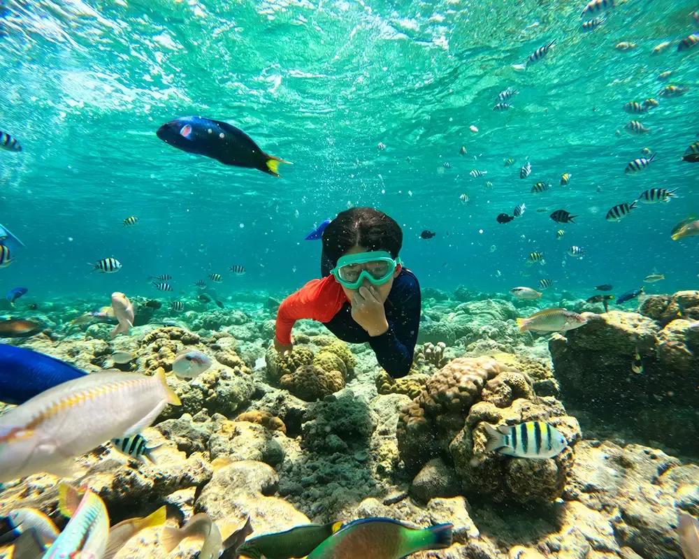 Snorkeling At Havelock Island (Swaraj Dweep)